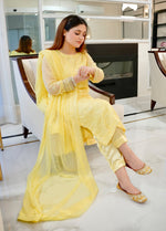 CT 12005 - Golden Glow Yellow - LUXE PRET