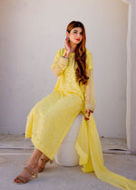 CT 12005 - Golden Glow Yellow - LUXE PRET